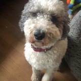 Entry image for Chanel 