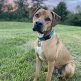 Entry image for Bentley