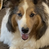 Entry image for Mars