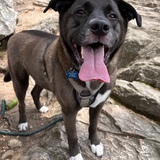 Entry image for Chaz 