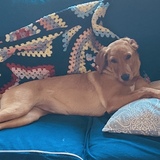 Entry image for Zoey