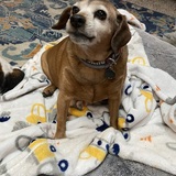 Entry image for Walter