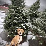 Entry image for Oakley 