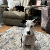 Entry image for Kona Jean