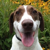 Entry image for Duke