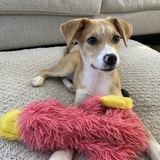 Entry image for Penny