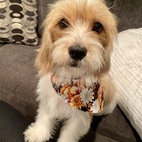 Entry image for Ellie