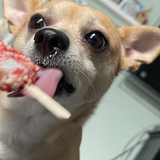 Entry image for Nacho