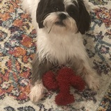 Entry image for Ernie