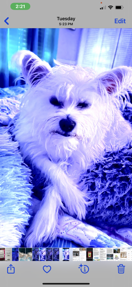 Entry image for Weston Owen. Clicking this image will show a larger photo