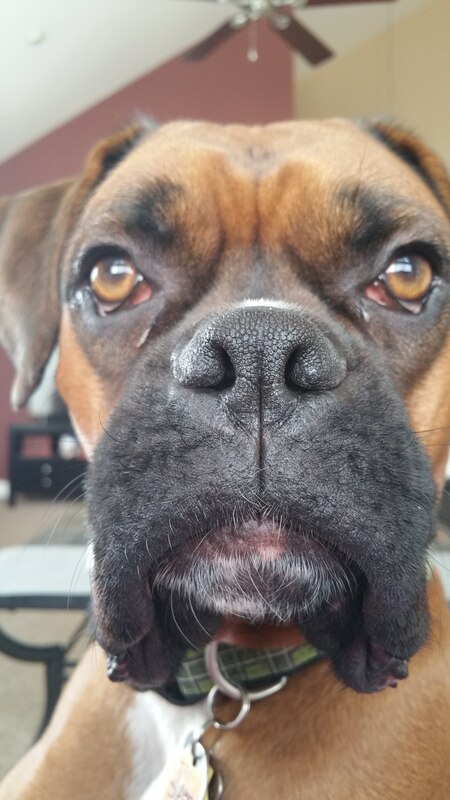 Entry image for Sam. Clicking this image will show a larger photo