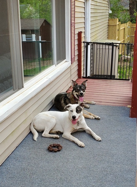 Entry image for Saber and Shadow . Clicking this image will show a larger photo