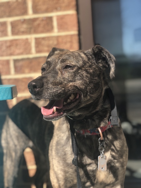 Entry image for Anya. Clicking this image will show a larger photo