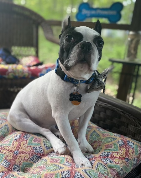 Entry image for Billy Joel. Clicking this image will show a larger photo