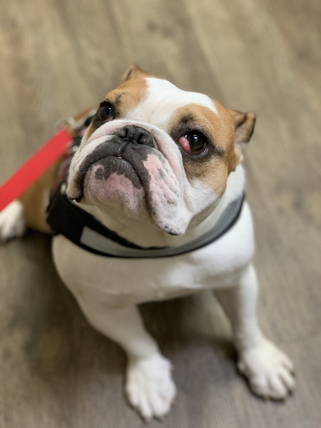 Entry image for LILO . Clicking this image will show a larger photo