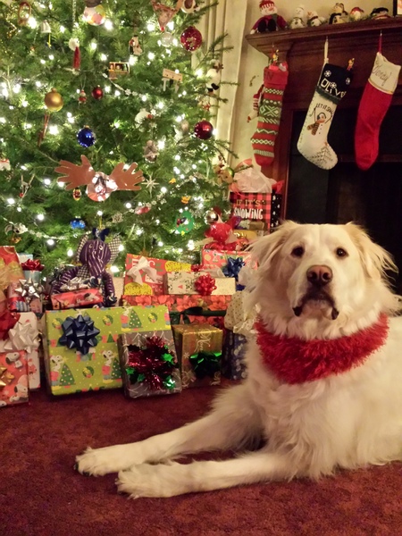 Entry image for Marshmello. Clicking this image will show a larger photo