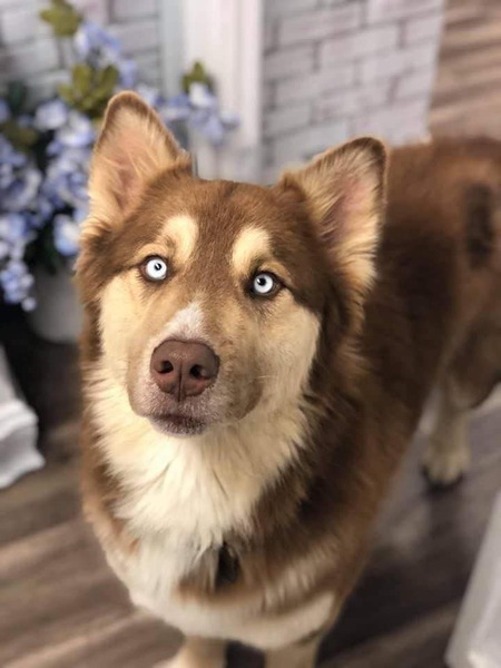 Entry image for Creed. Clicking this image will show a larger photo