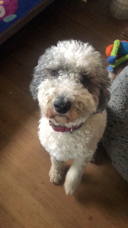 Entry image for Chanel . Clicking this image will show a larger photo