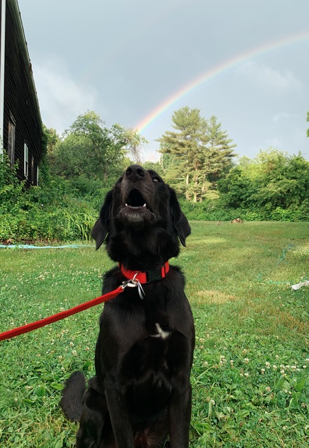 Entry image for Stan. Clicking this image will show a larger photo