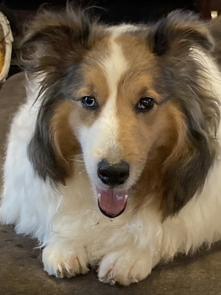 Entry image for Mars. Clicking this image will show a larger photo