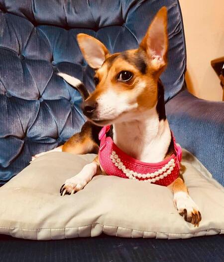 Entry image for Cadence. Clicking this image will show a larger photo