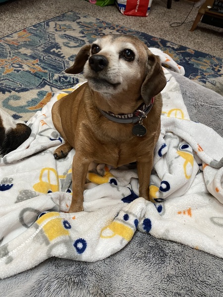 Entry image for Walter. Clicking this image will show a larger photo