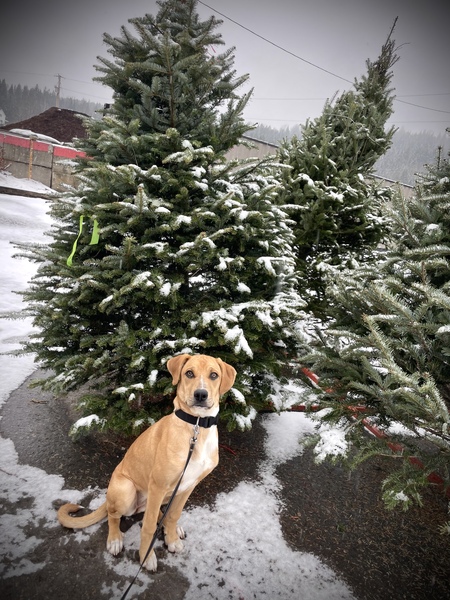 Entry image for Oakley . Clicking this image will show a larger photo