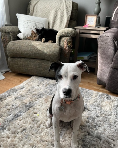 Entry image for Kona Jean. Clicking this image will show a larger photo