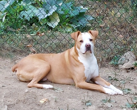 Entry image for Tayzer. Clicking this image will show a larger photo