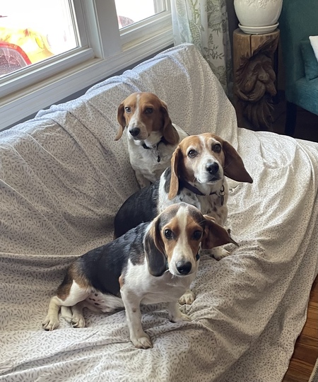 Entry image for Fred, Wilma, and Banjo. Clicking this image will show a larger photo