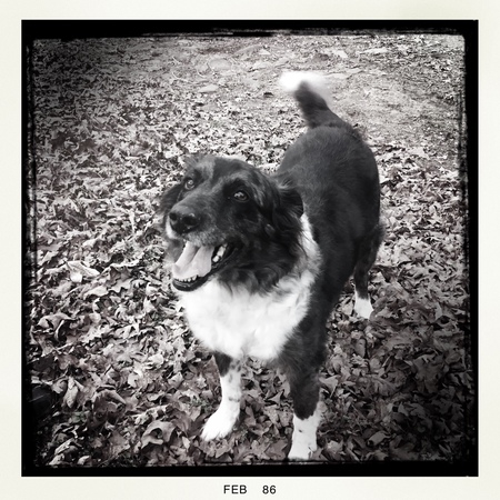 Entry image for Keegan. Clicking this image will show a larger photo