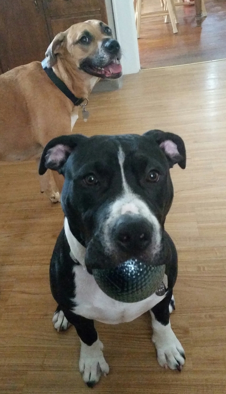 Roscoe