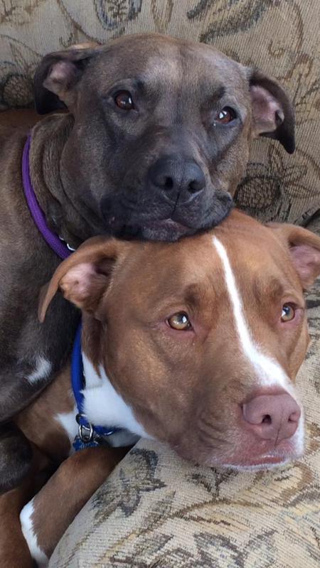 Sophie and Tater Tot