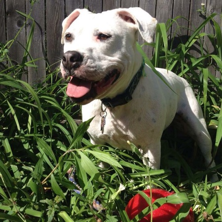 Ruby 
