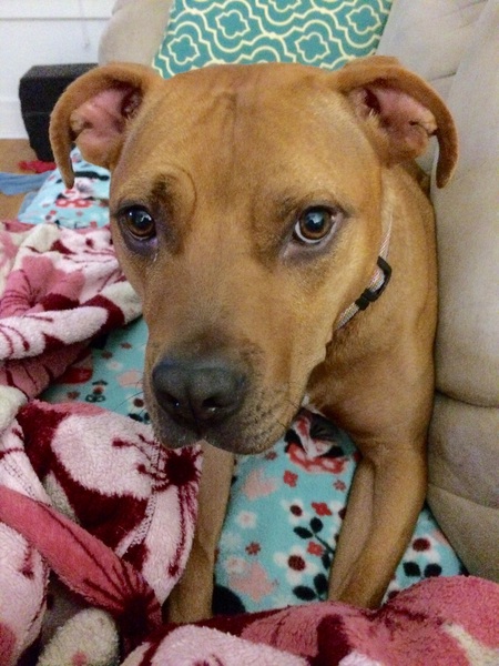 Lucy