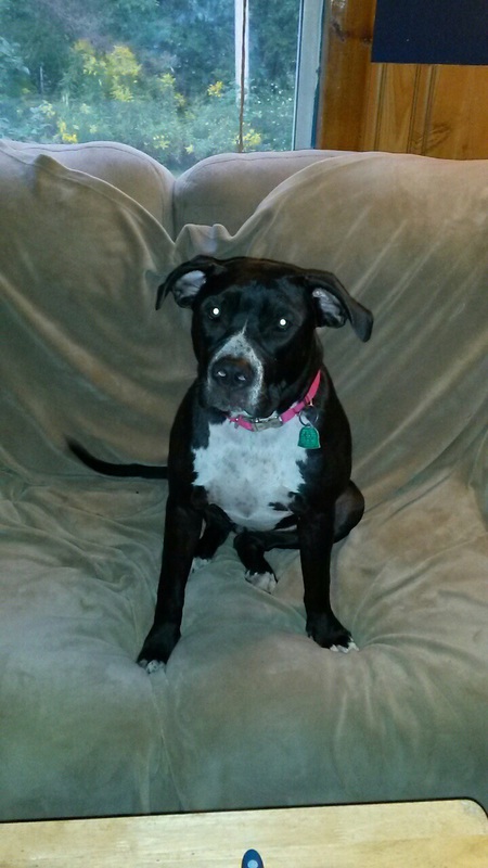 Riley