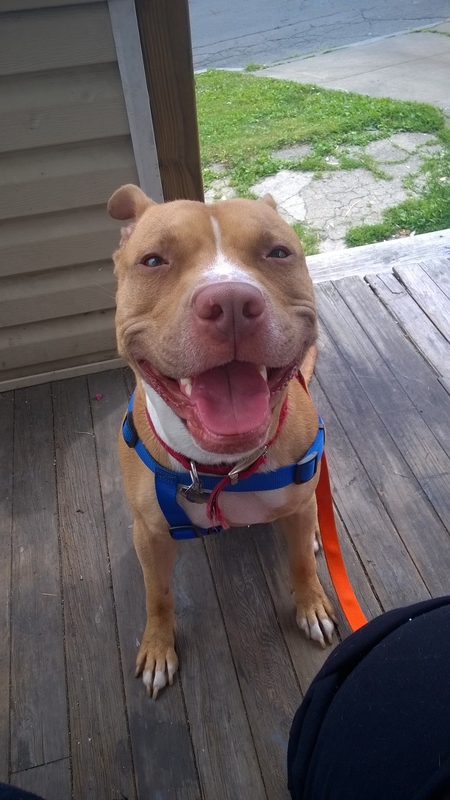 Gino