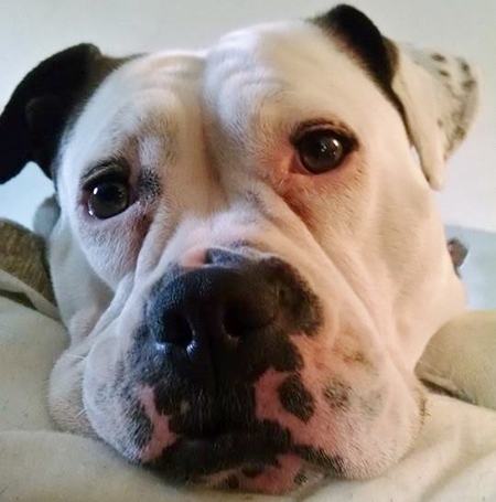 Abby