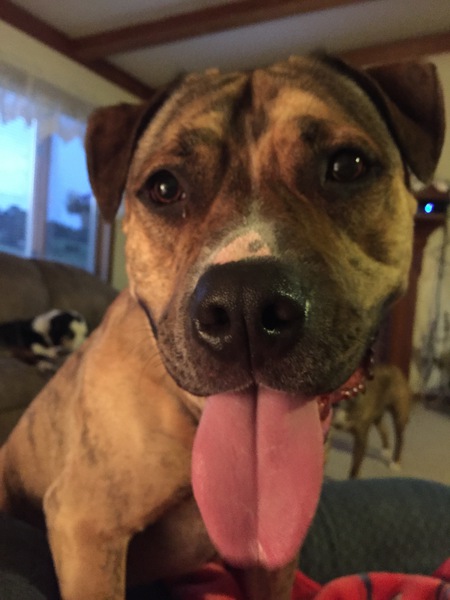 Cooper
