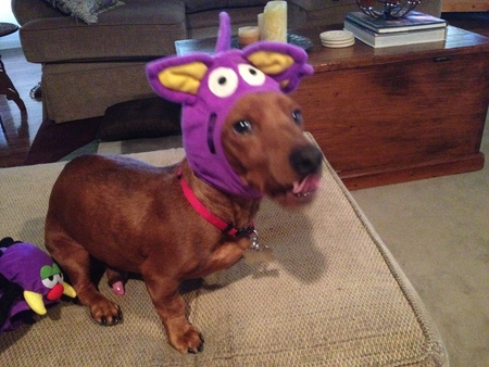 Fritz