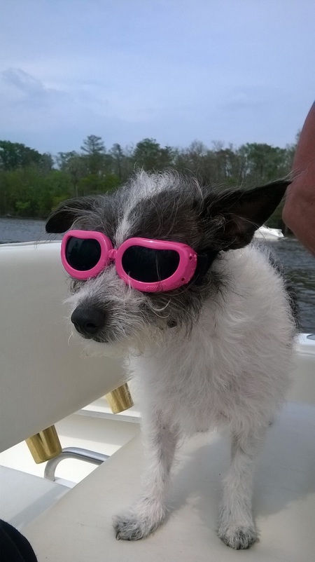 Maggie