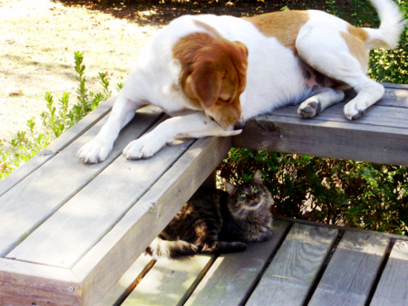 Sam & Elphie