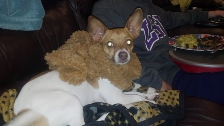 Molly