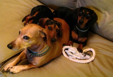 Stoli, Voodeaux & Gumbeaux 