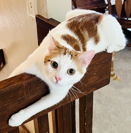 Lilah