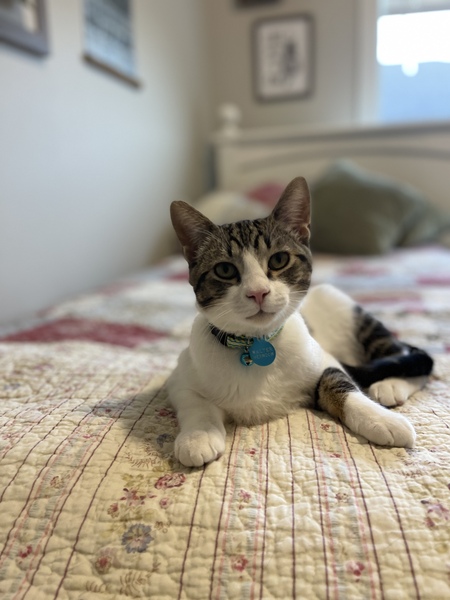 Walter