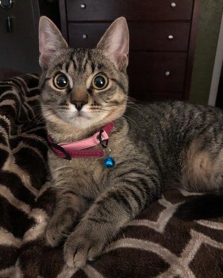 Athena