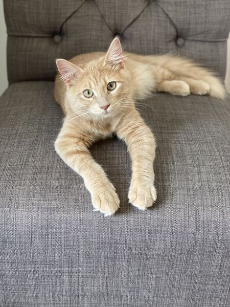 Winston