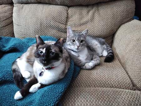 Stevie & Holly