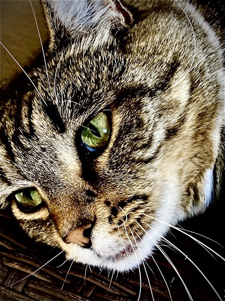 Ethel